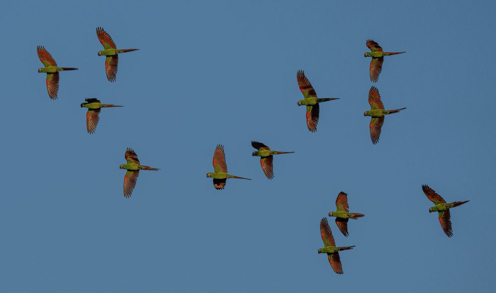 Photograph by Alberto Camardiel