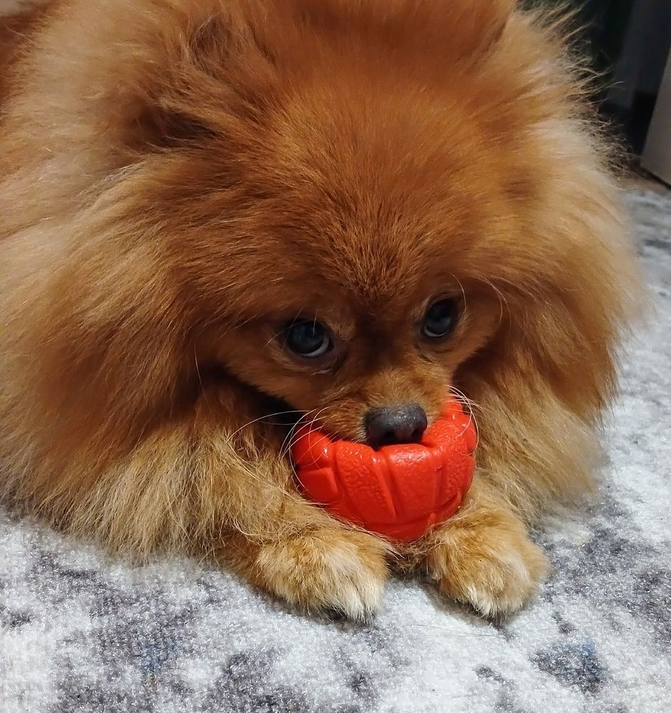 Фотография автора Джаф