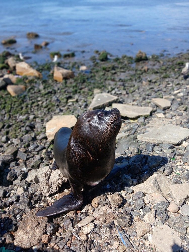 Photo #11094334