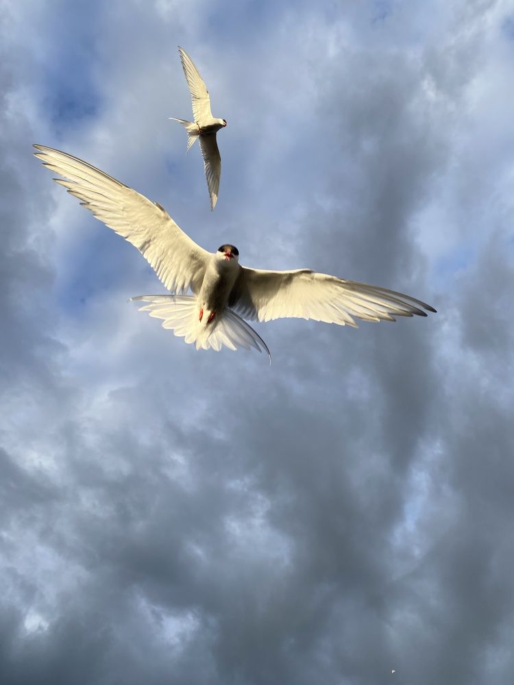 Photograph by Татьяна