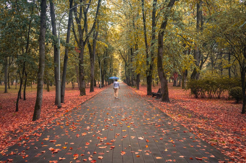 Фотография автора Дмитрий Referee