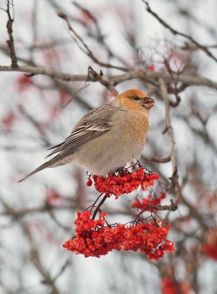 Photograph by Людмила Юрчук