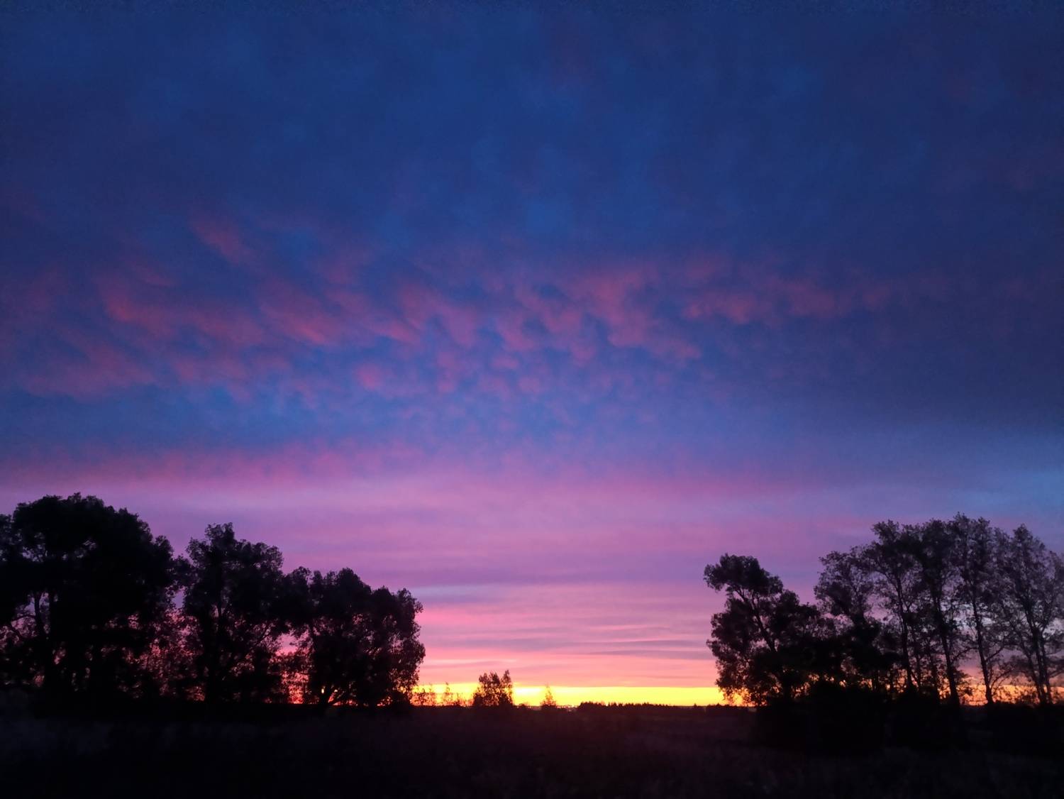 Photo #11094388