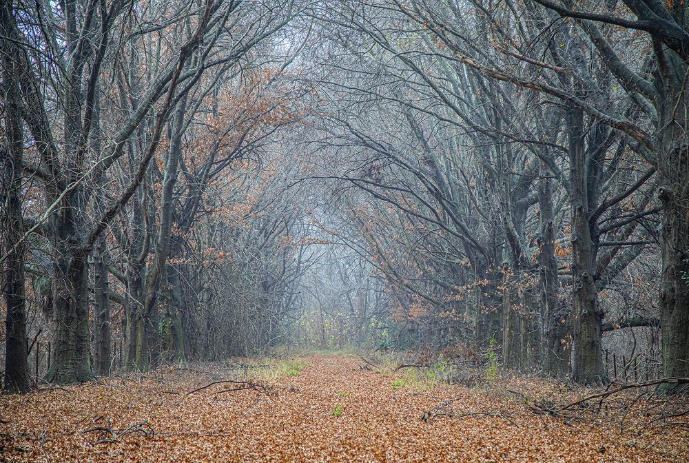 Фотография автора Marina Martorelli
