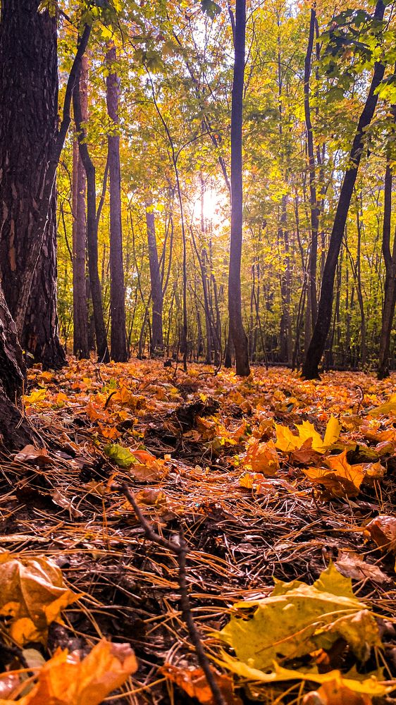 Photograph by Грим Денис