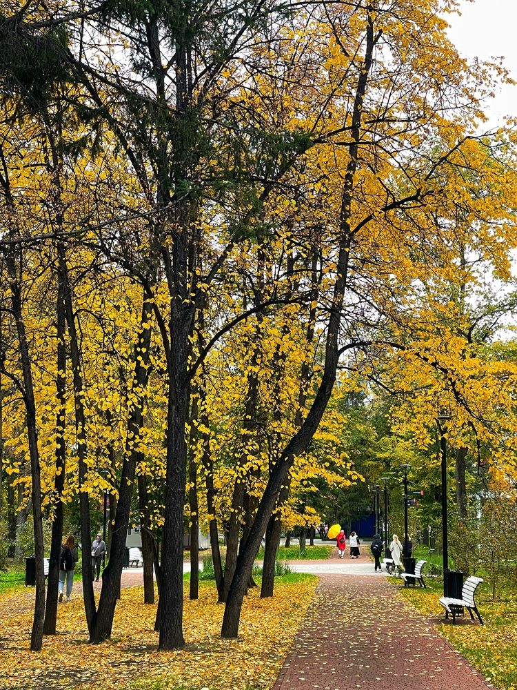 Фотография автора Nadezhda