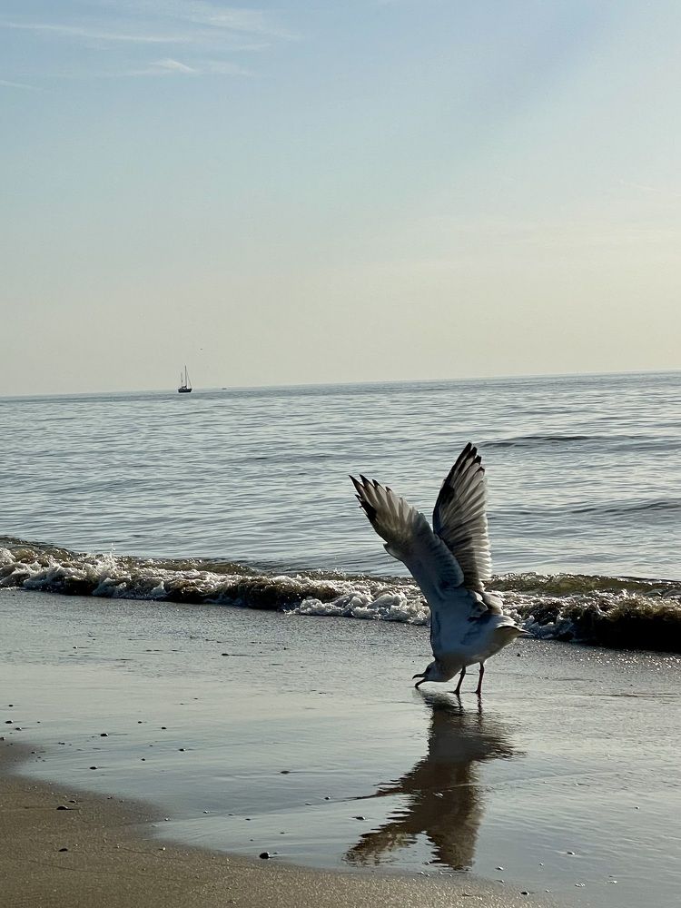 Фотография автора Nadezhda