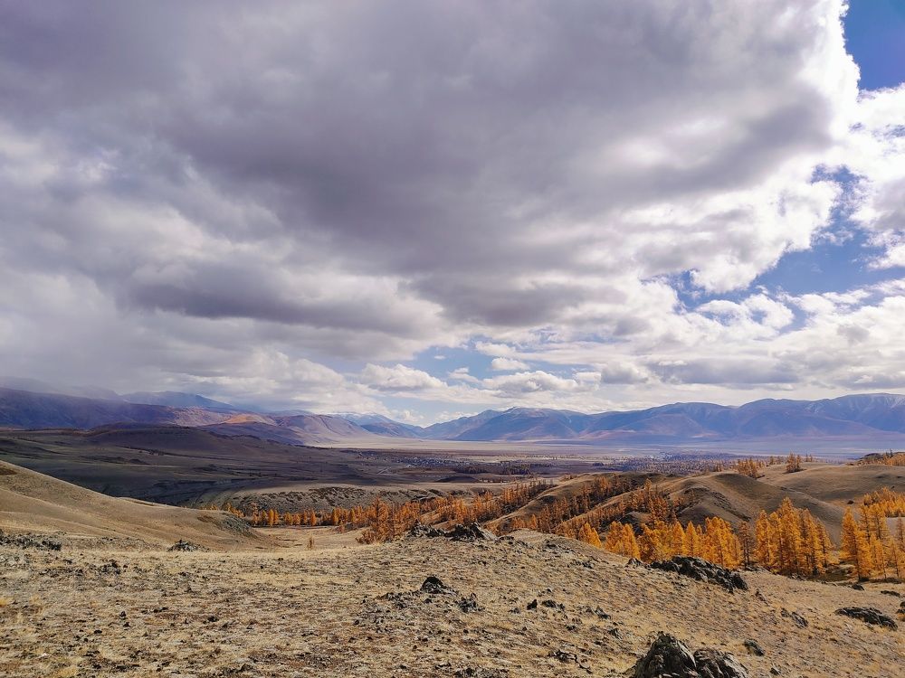 Photo #11094451