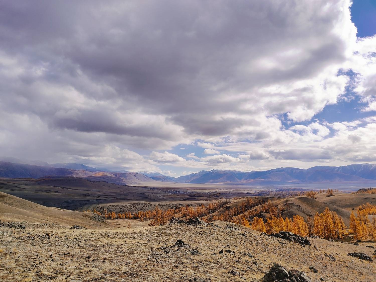 Photo #11094451
