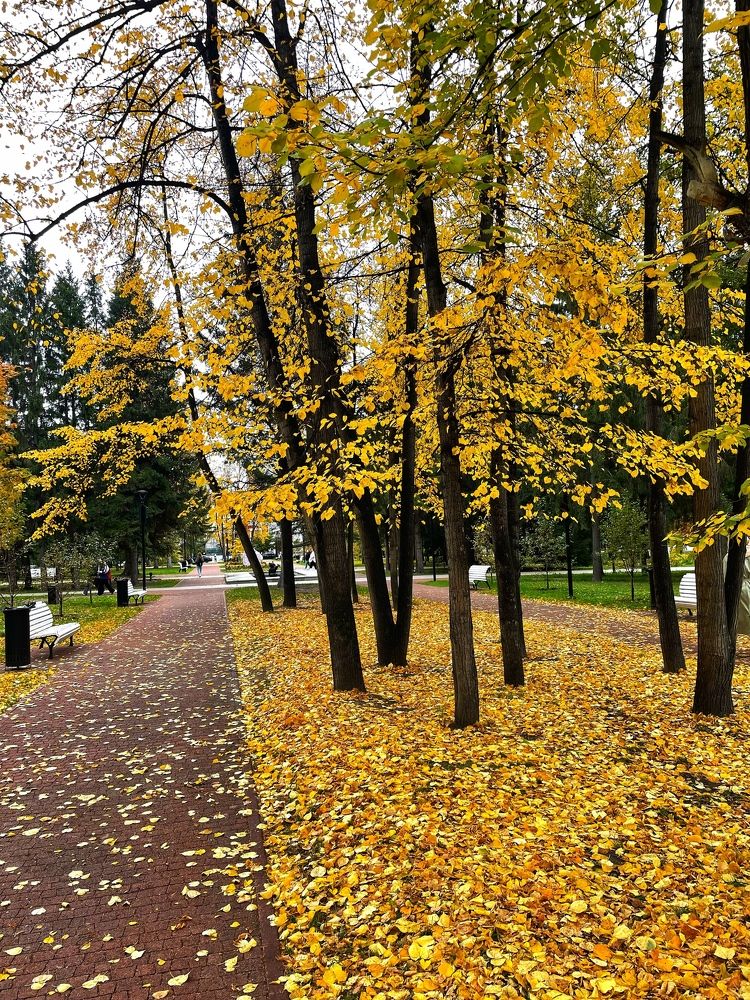 Фотография автора Nadezhda