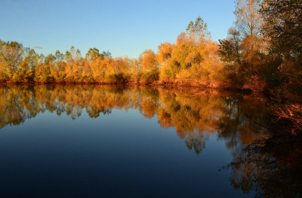 Photograph by Александр Яценко