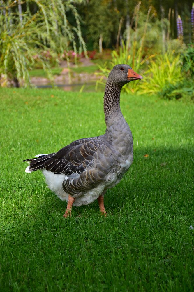 Photograph by Дмитрий Петров