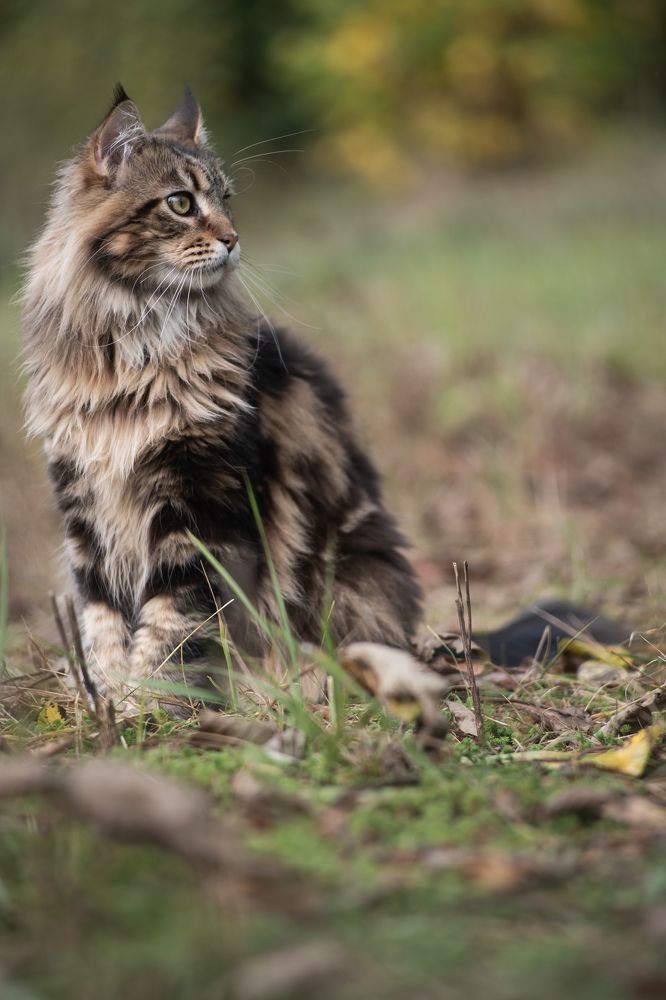 Photograph by Саша Зугров