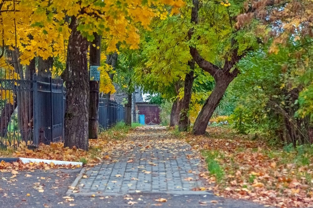 Photograph by Валерий Клейменов