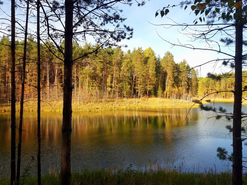 Photo #11094566