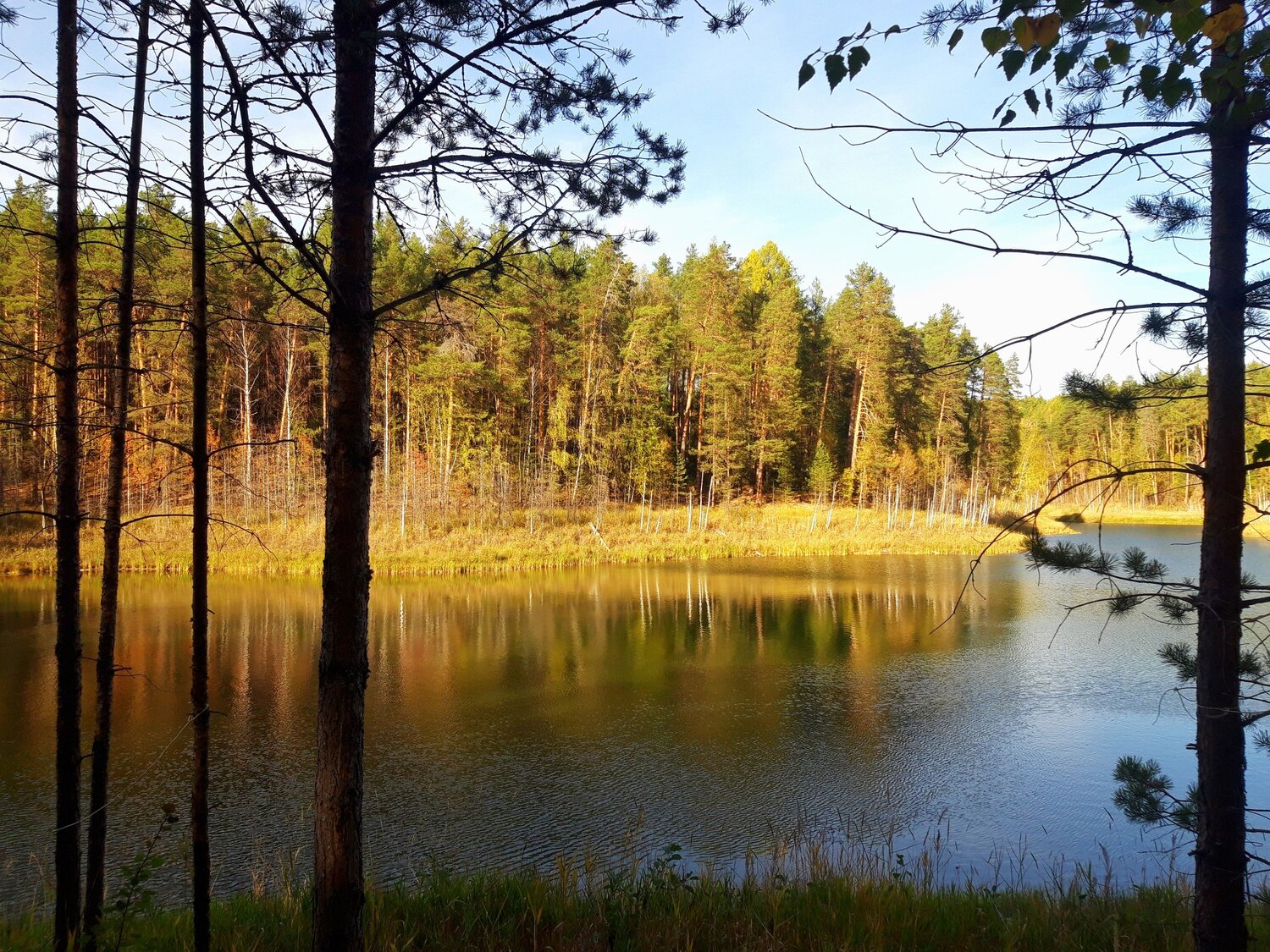 Photo #11094566