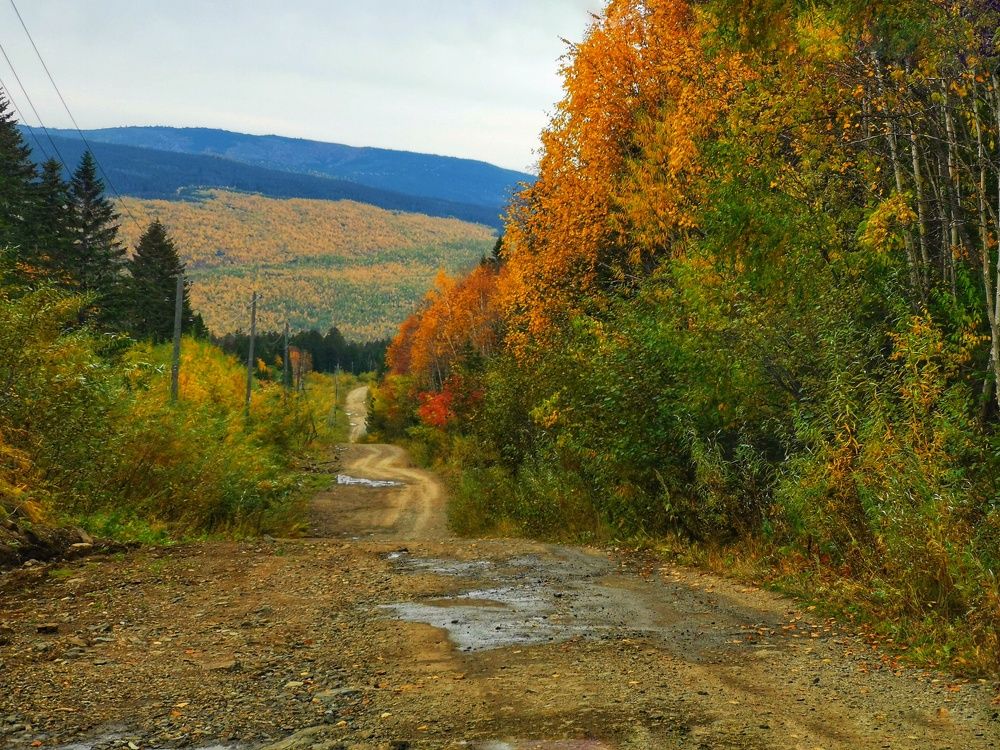 Photograph by Irina Luidinshina