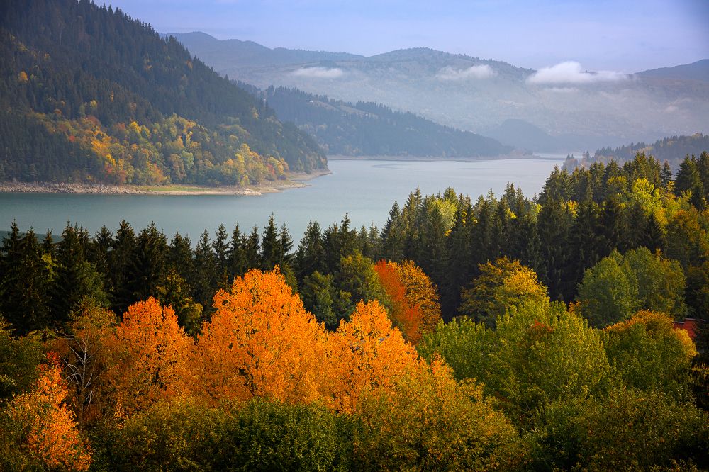 Фотография автора Cornelia Ghergut