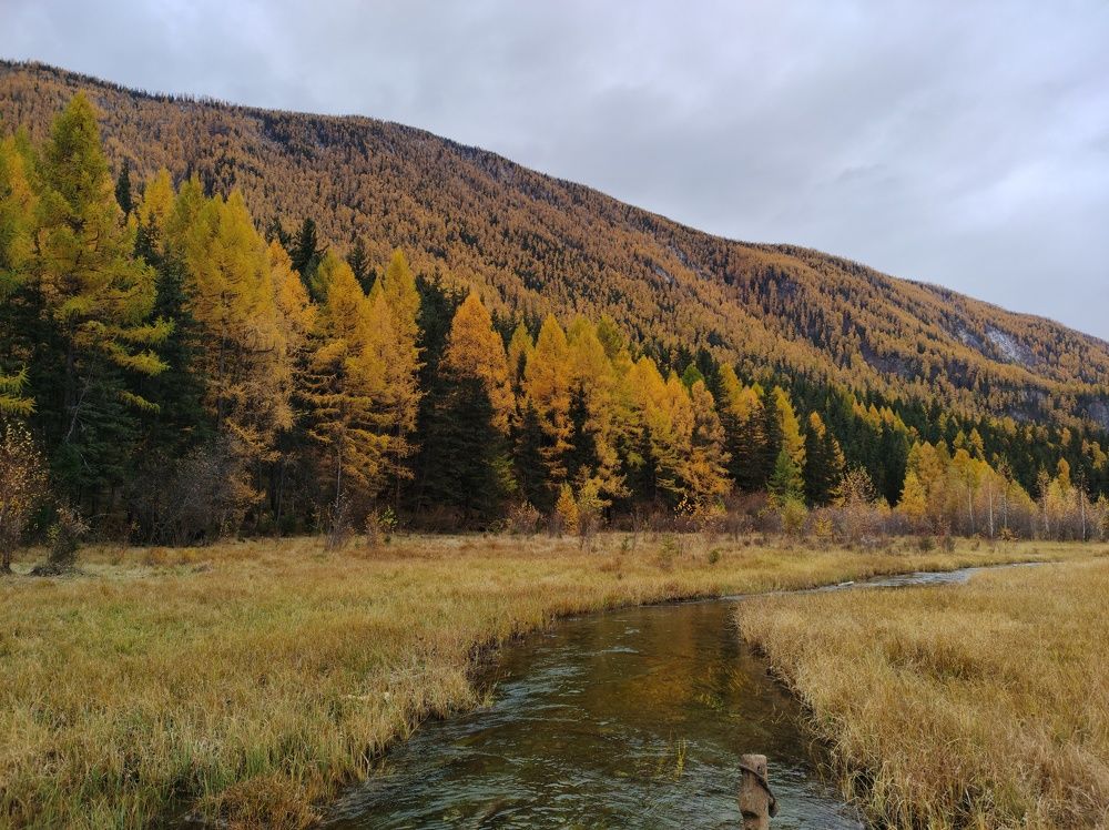Photo #11094646