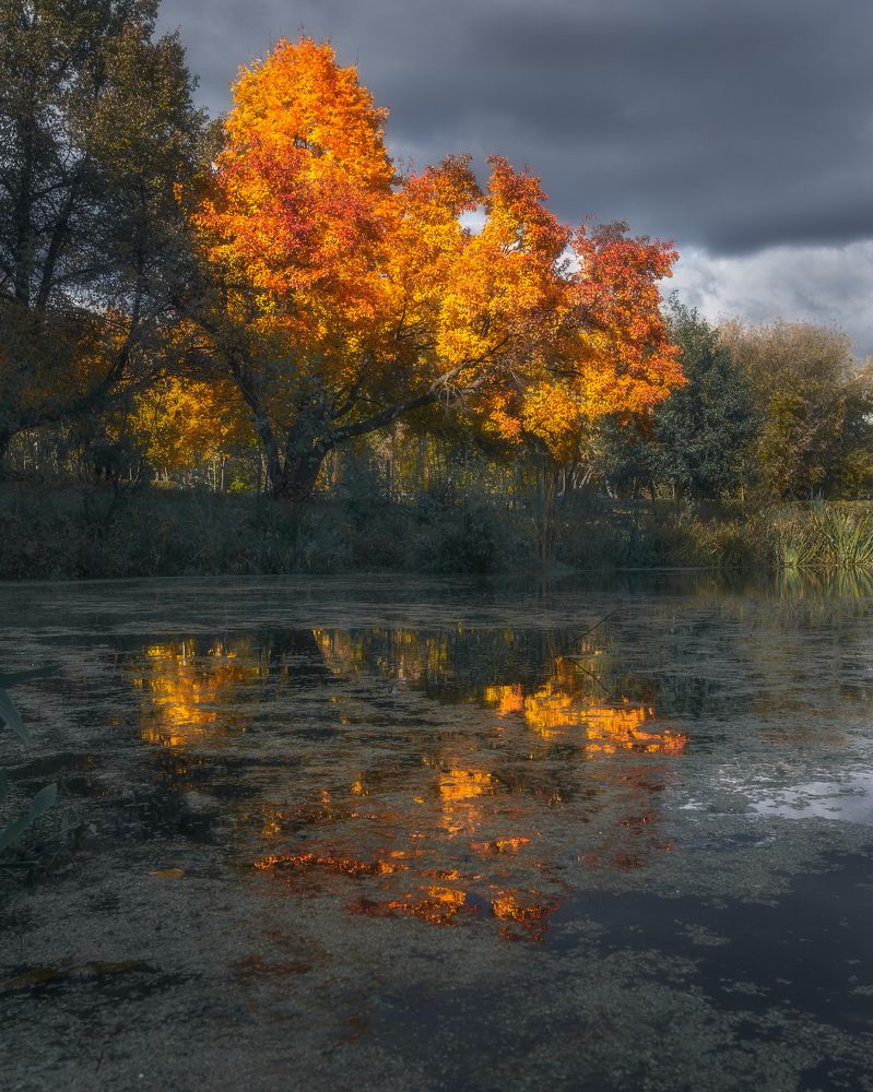 Фотография автора Мартыненко Дмитрий