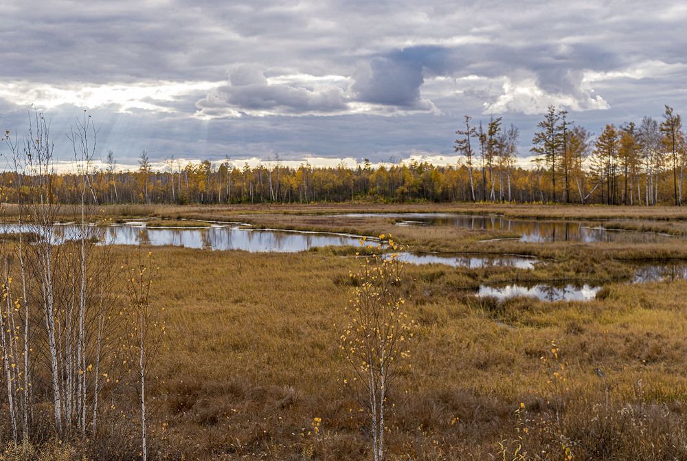 Озера в желтом одеянии