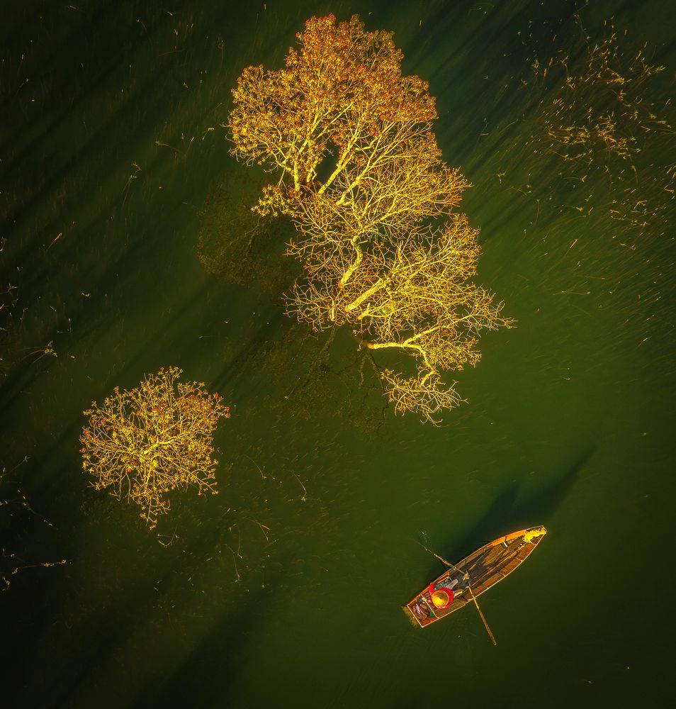 Photograph by Tran Phuong