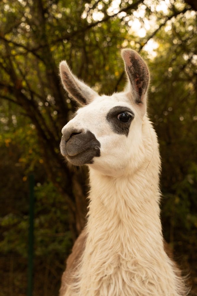 Photograph by Тишков Сергей