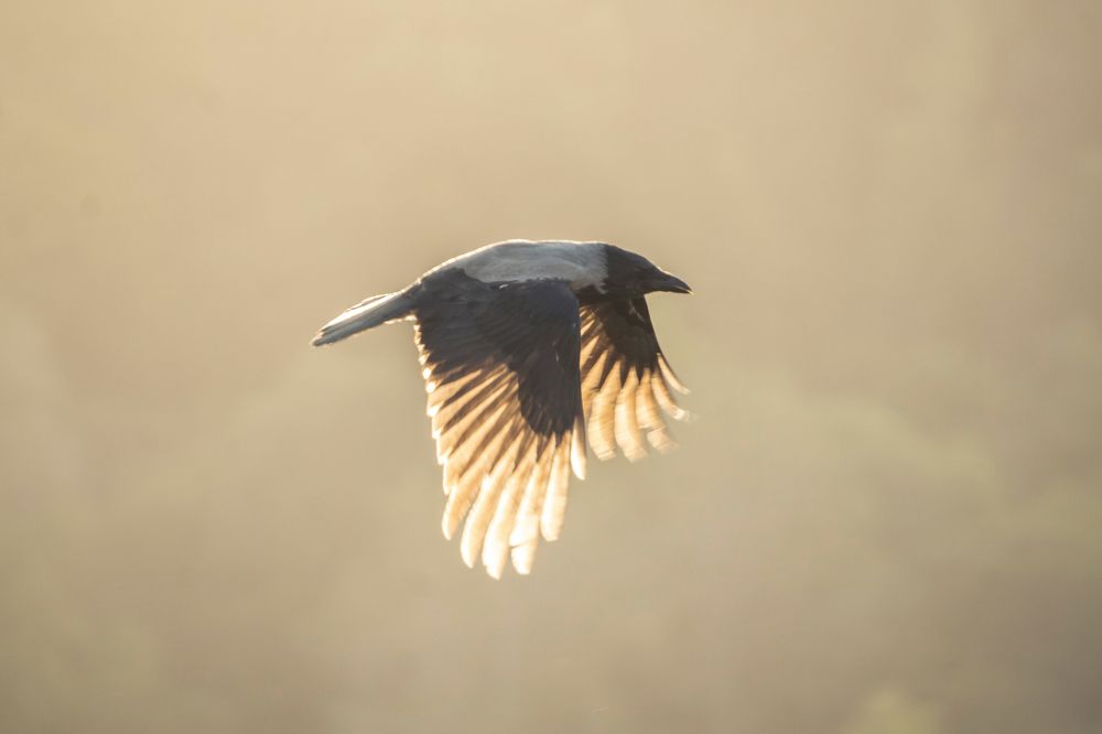 Photograph by Евгений Салаев