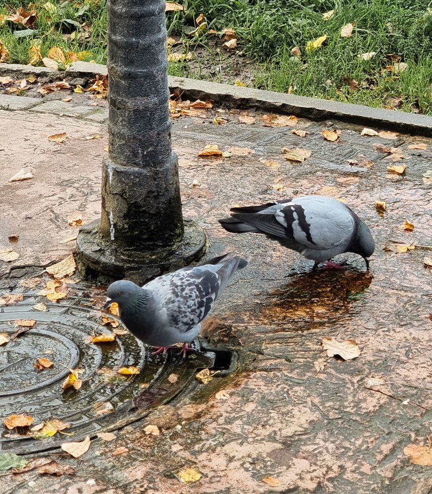 Фотография автора Светлана Алексеева