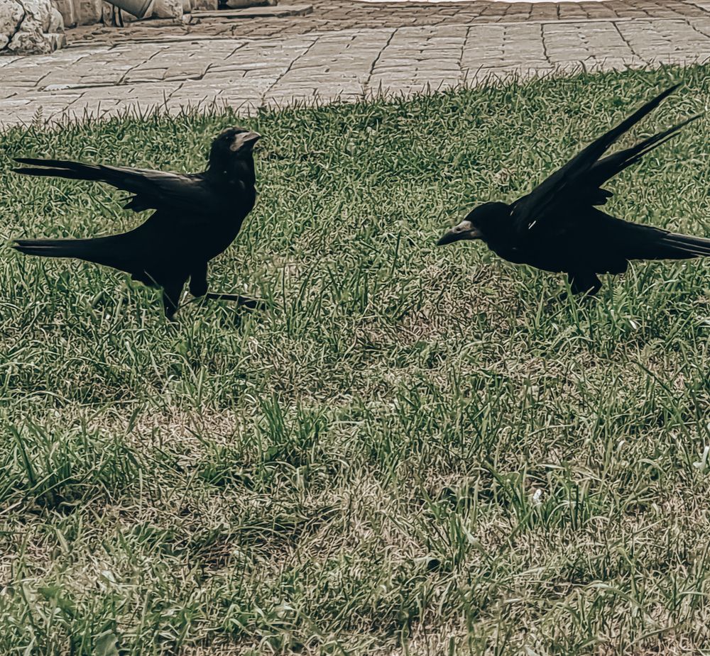 Photograph by Светлана Алексеева