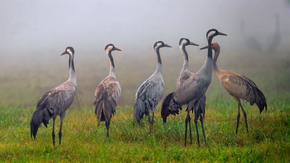 Photograph by Шварцман Евгений