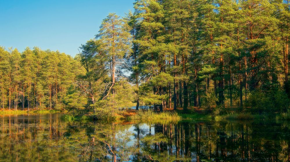 Photograph by Николай Хлебников