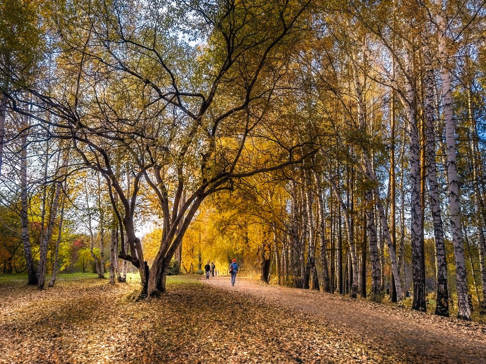 Photograph by Александр Разумов