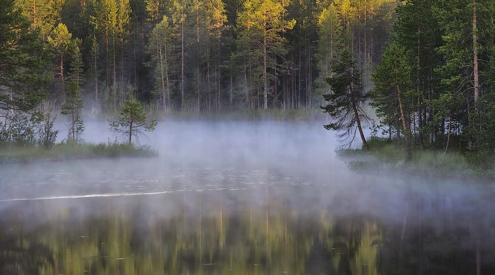 Ранним утром в Карелии