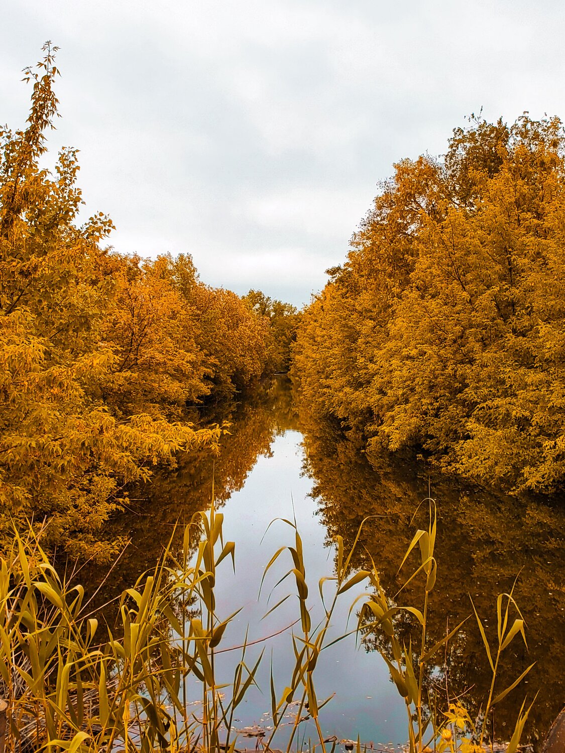 Photo #11094795
