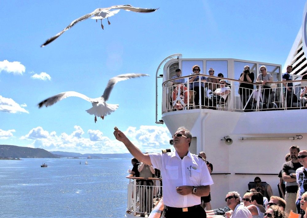 Photograph by Сергей Журавлев