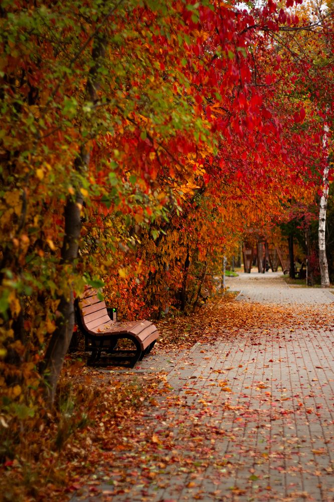 Photograph by Анна Осинцева