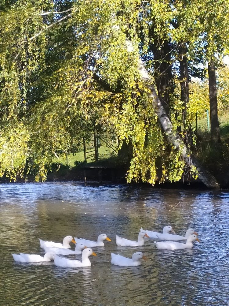 Photograph by Юрий Гордеев