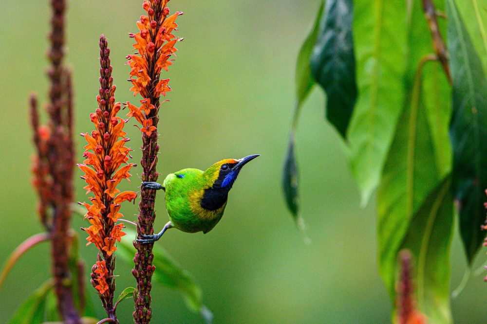 Photograph by Bidyut Dutta