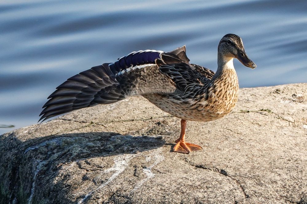 Photograph by Zakharov Matvey