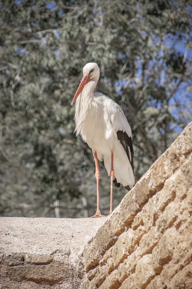 Photograph by Светлана Саиди