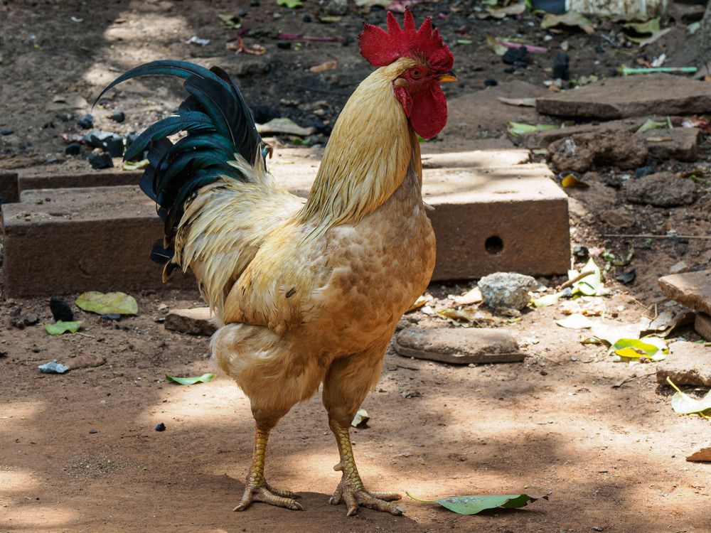 Photograph by Борис Полтавец