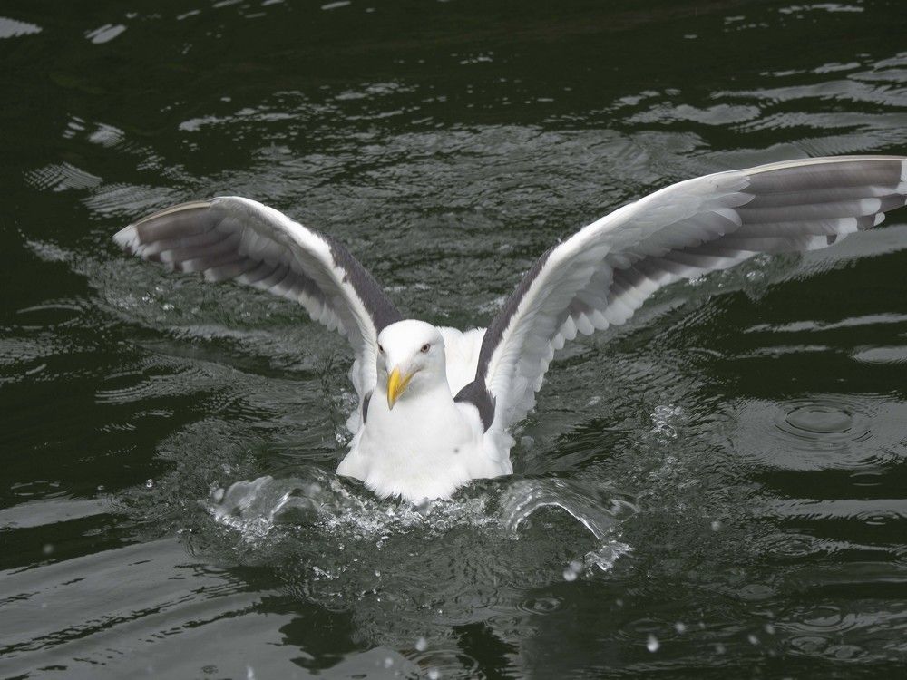 Photograph by Борис Полтавец