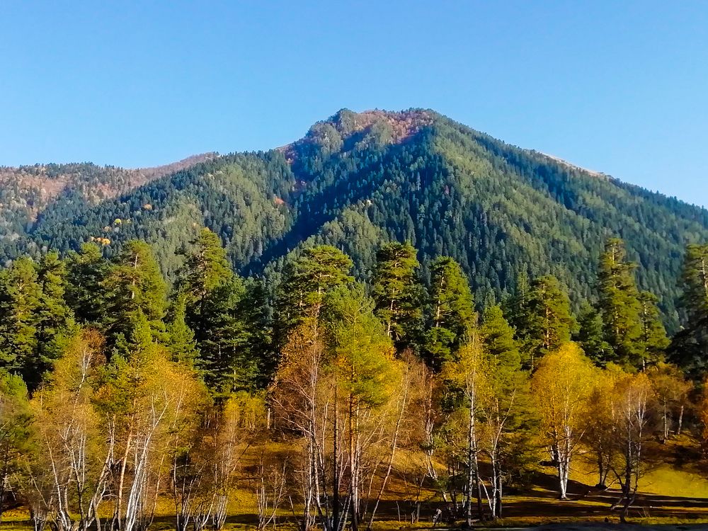 Photograph by Мария Толмачева