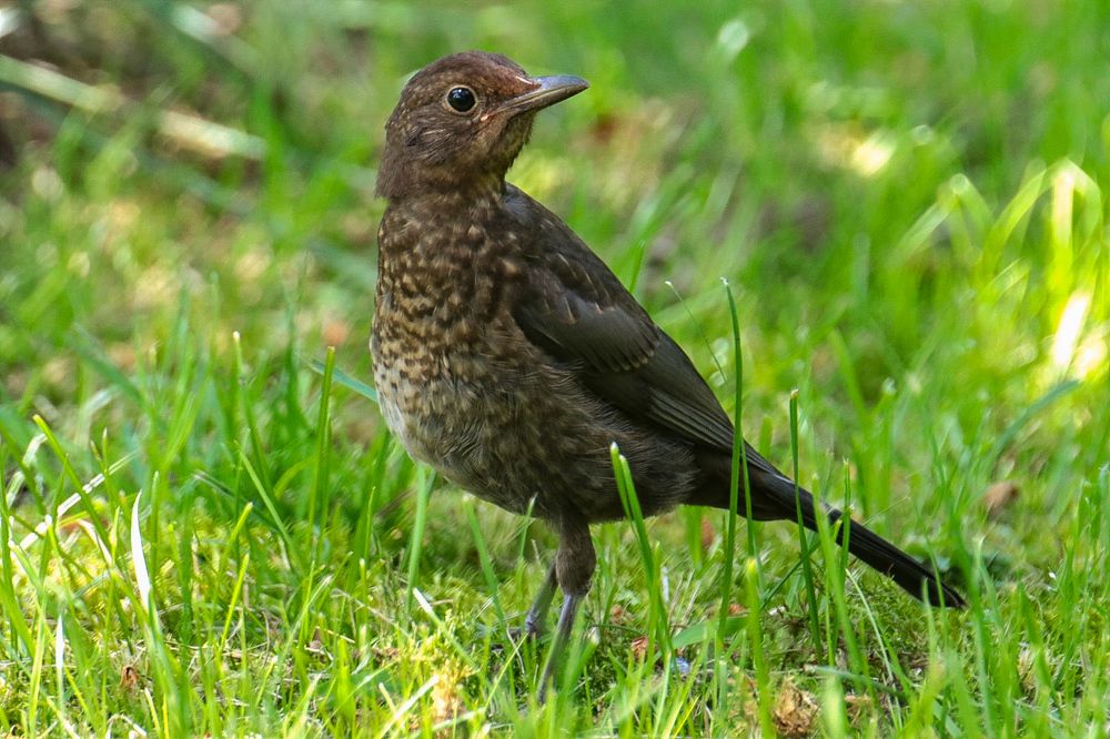 Photograph by Елена Рудкевич