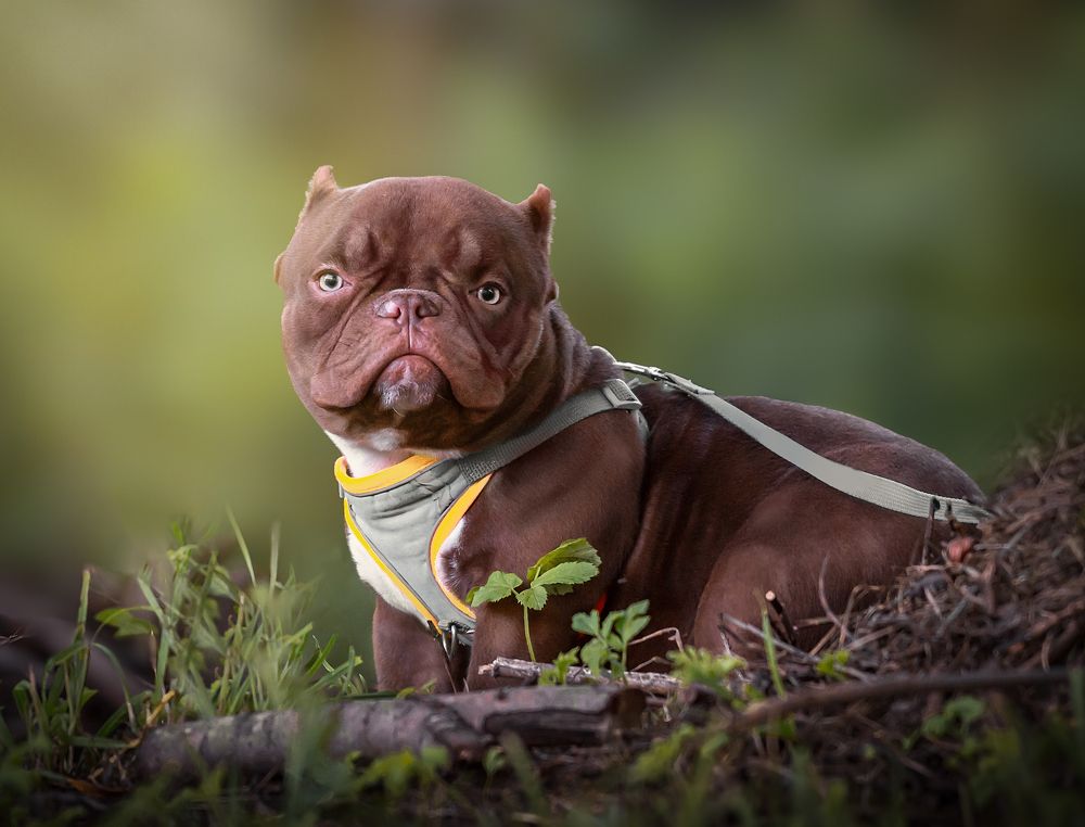 Photograph by Людмила Подольская