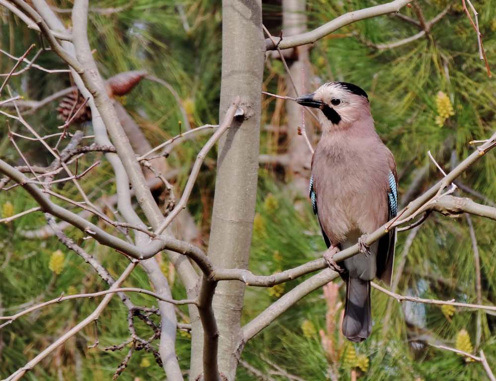 Photograph by Павел Васильев