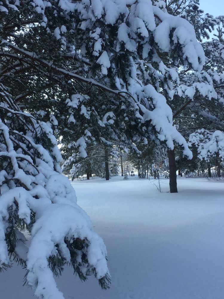 Photograph by Светлана Петрова