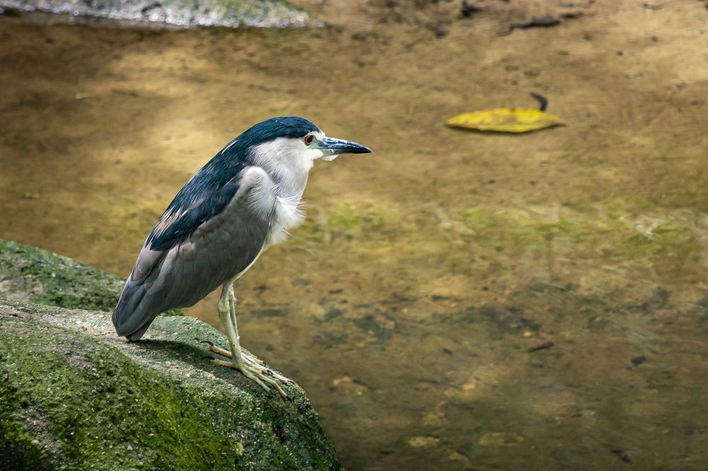 Photograph by Наталья Кокорина