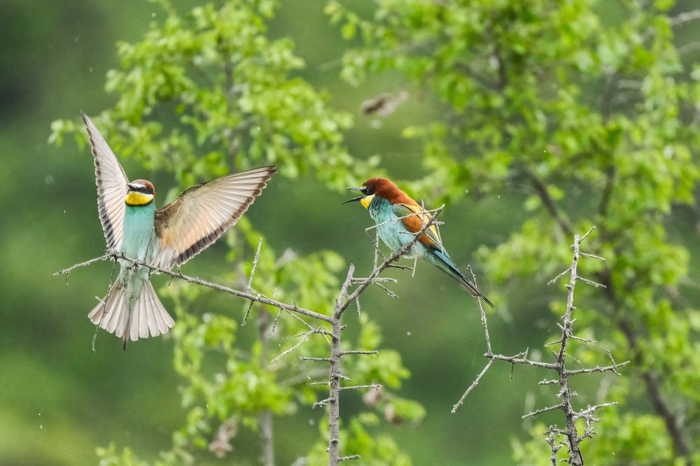 Photograph by Dimitris Vavliaras